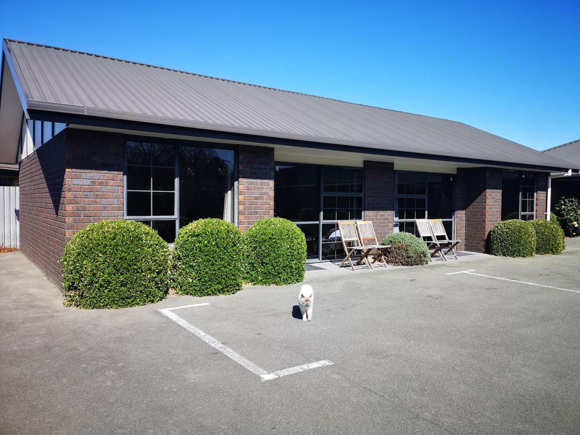Aston Court Motel Blenheim Buitenkant foto